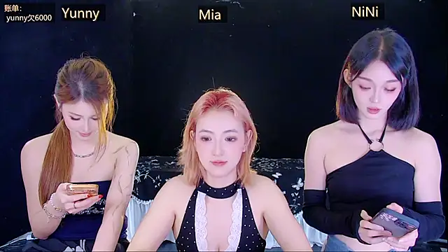 MiNi-U webcam