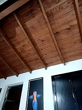 SilvaBranko's live cam