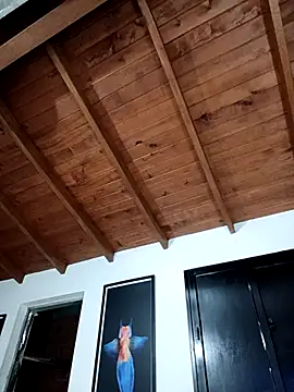 SilvaBranko webcam