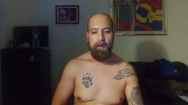 AMIRDIB2025