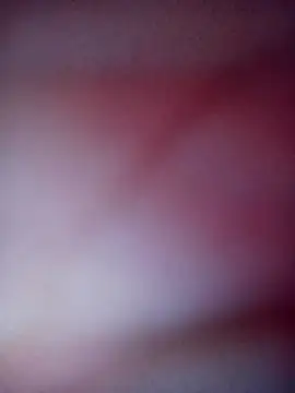 Ssbbccc webcam