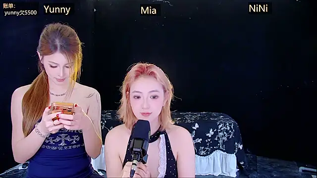 MiNi-U webcam