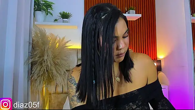 im__fer webcam