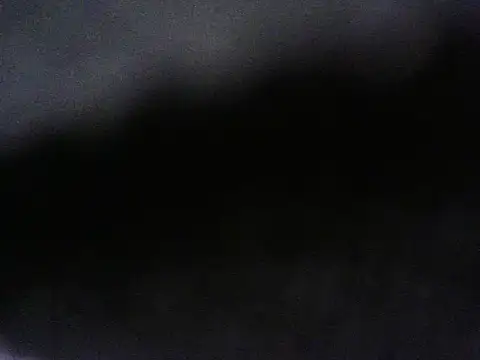 handyandyhandy webcam