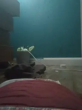 ReallyReallyReal webcam