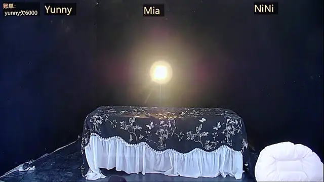 MiNi-U webcam