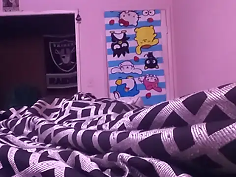 Blkstylion webcam