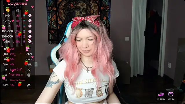 Project_hisoka webcam