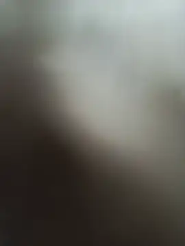 cusicat webcam