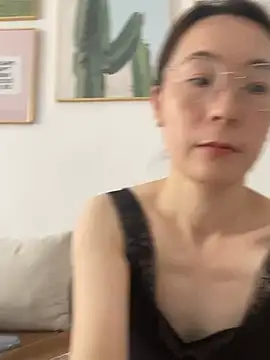 you-520 webcam