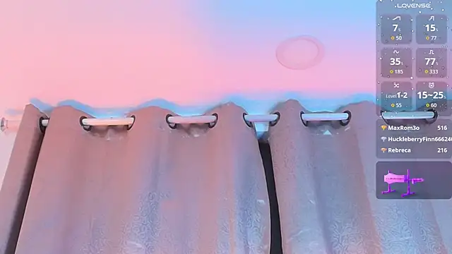 SaraRoy_ webcam