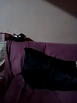 lualviz webcam