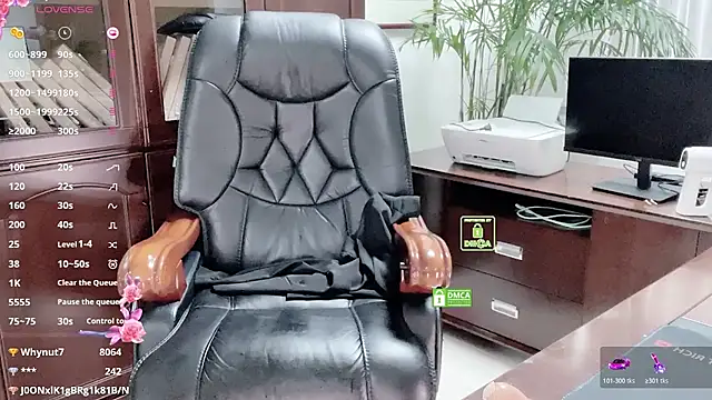 Kaixin520 webcam