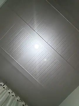 ADELINE_COLLINS15 webcam