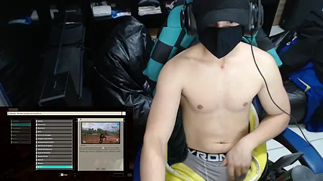 DinoZero webcam