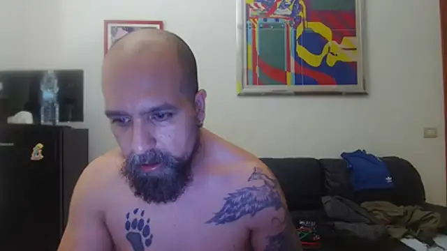 AMIRDIB2025 webcam
