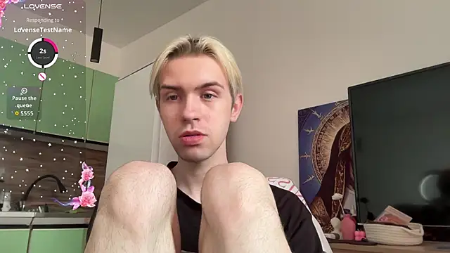 skibatryanka webcam