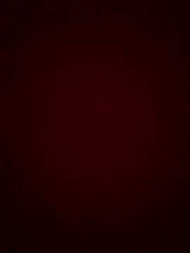 DimeAria webcam