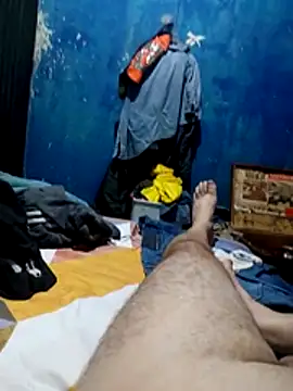 PollonColombiano2023 webcam