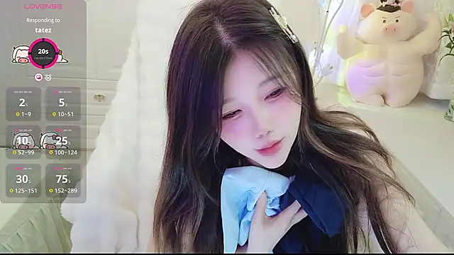 Coco-Di webcam