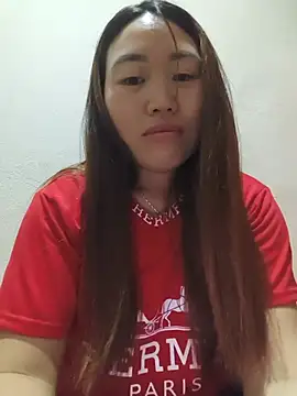 he-se-kin webcam