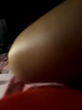-Tara-a webcam