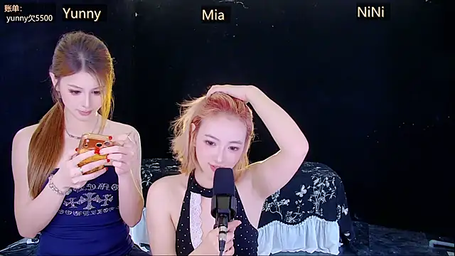 MiNi-U webcam