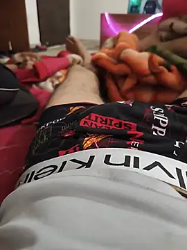 HARDDICC98 webcam