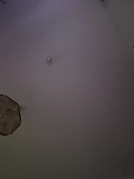 Toyjungee webcam