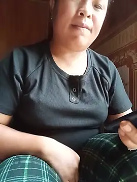 Ip34 webcam