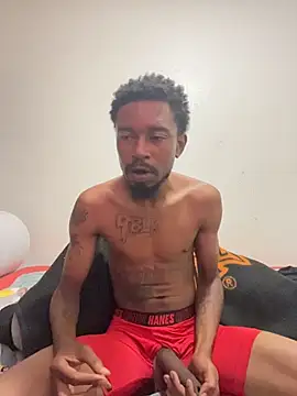 9blk webcam