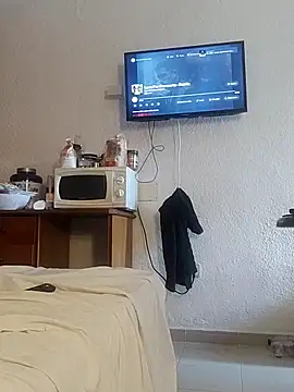 Visto36 webcam