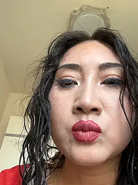 GOGO-2026 webcam