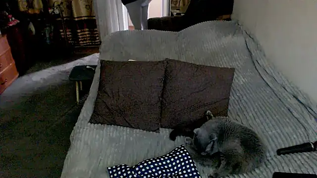 sex2 webcam