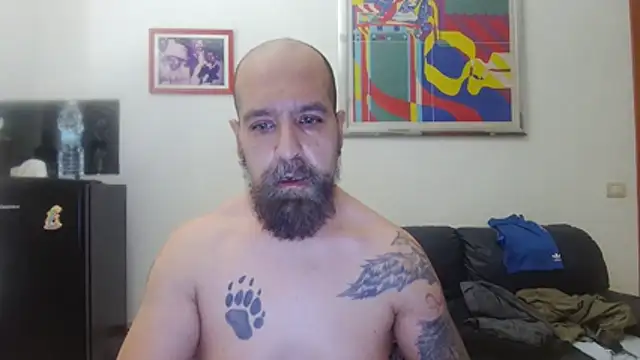 AMIRDIB2025 live cam on StripChat