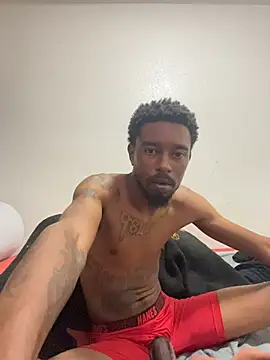 9blk webcam