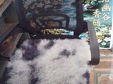 Trai-zin webcam