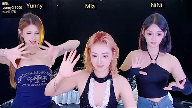 MiNi-U webcam