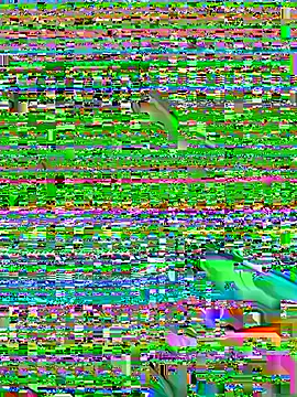 cmvoo webcam