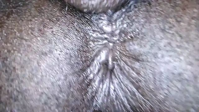 DaBestDad webcam