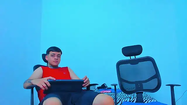 Thomas-Wil webcam