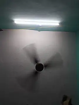 Villageanuty webcam