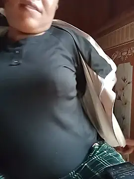 Ip34 webcam