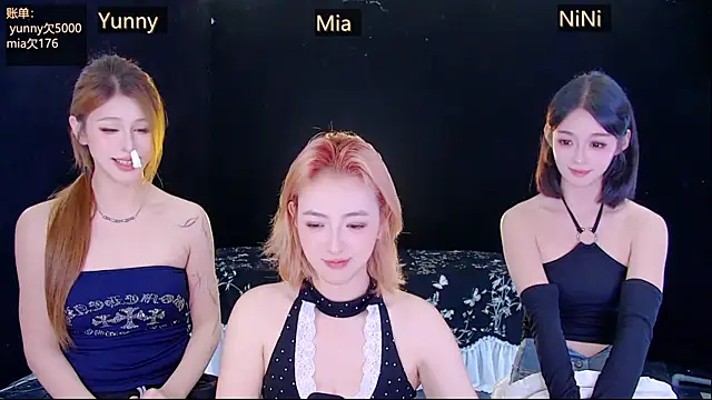 MiNi-U webcam