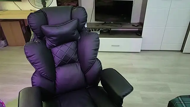 pvlpstvy webcam