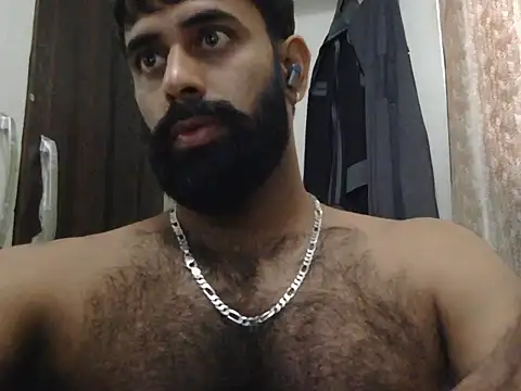 indianhairybull webcam