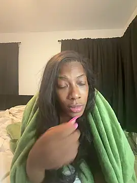 Drekacakez webcam