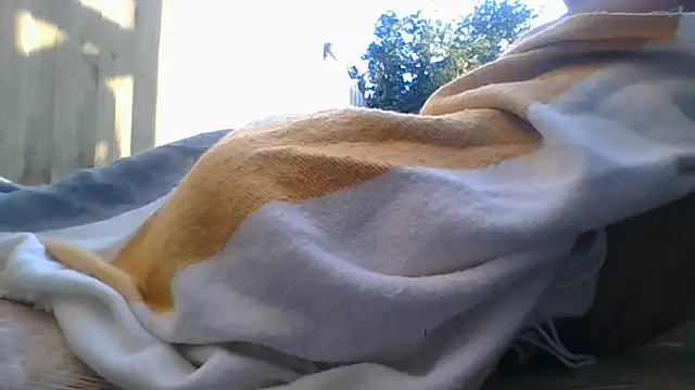 Semilobon1 webcam