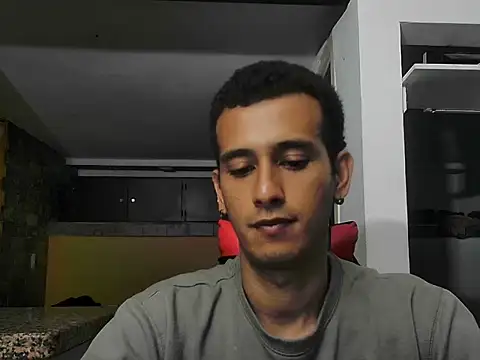 talktome4 webcam