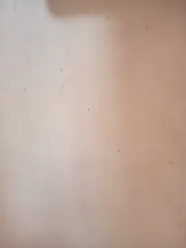 DaisyHarperr webcam